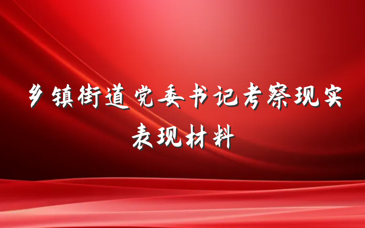 乡镇街道党委书记考察现实表现材料
