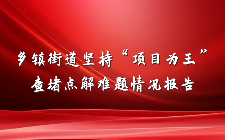 乡镇街道坚持“项目为王”查堵点解难题情况报告