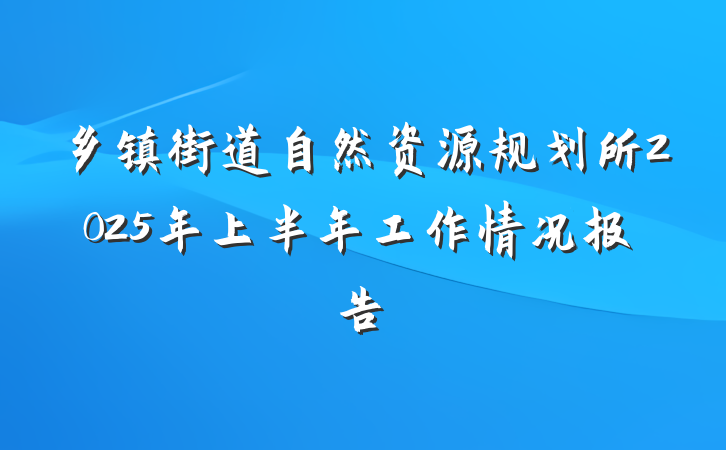 乡镇街道自然资源规划所2025年上半年工作情况报告
