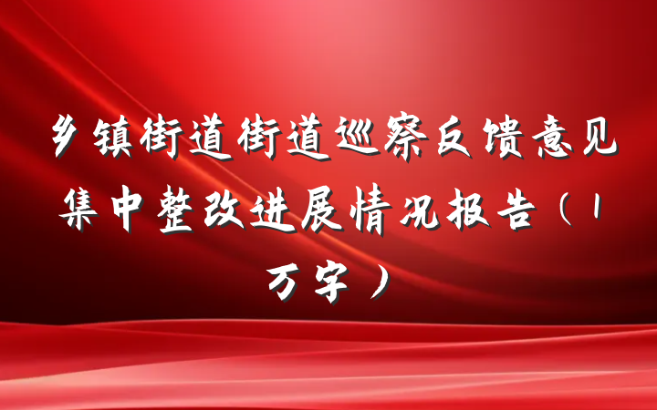 乡镇街道街道巡察反馈意见集中整改进展情况报告（1万字）