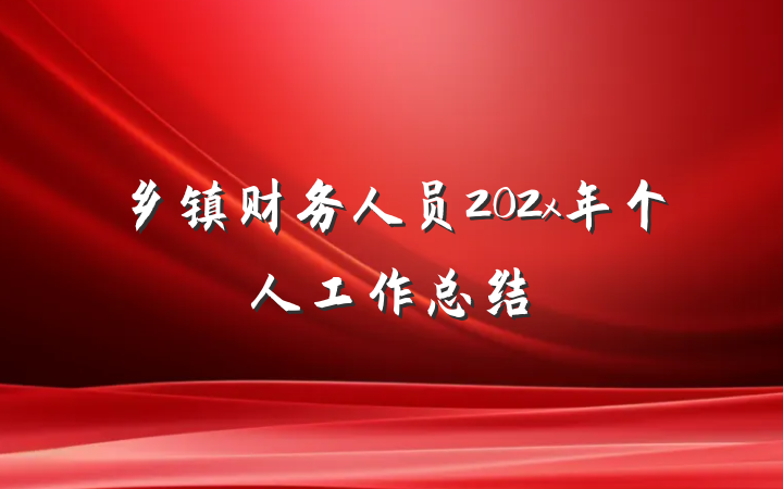 乡镇财务人员202x年个人工作总结