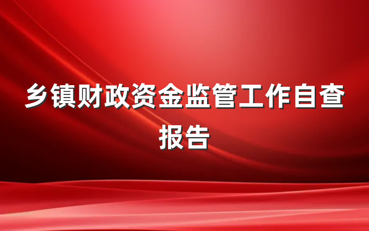 乡镇财政资金监管工作自查报告