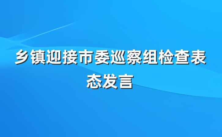 乡镇迎接市委巡察组检查表态发言