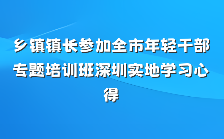 乡镇镇长参加全市年轻干部专题培训班深圳实地学习心得