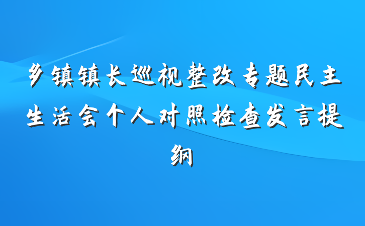 乡镇镇长巡视整改专题民主生活会个人对照检查发言提纲