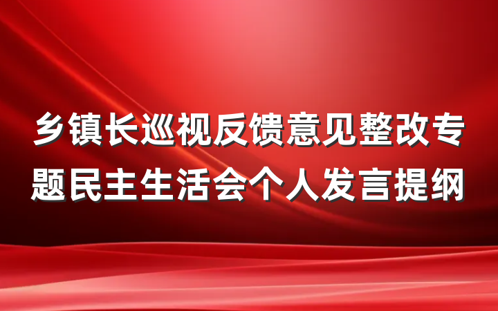 乡镇长巡视反馈意见整改专题民主生活会个人发言提纲