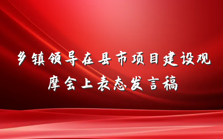 乡镇领导在县市项目建设观摩会上表态发言稿