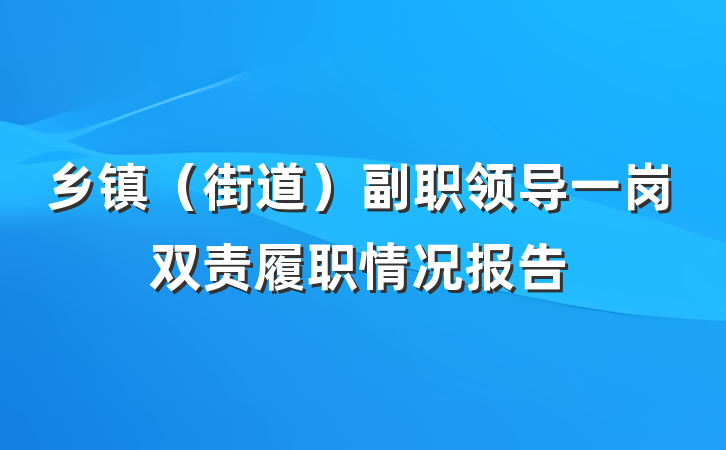 乡镇（街道）副职领导一岗双责履职情况报告