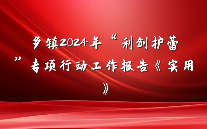 乡镇2024年“利剑护蕾”专项行动工作报告《实用》