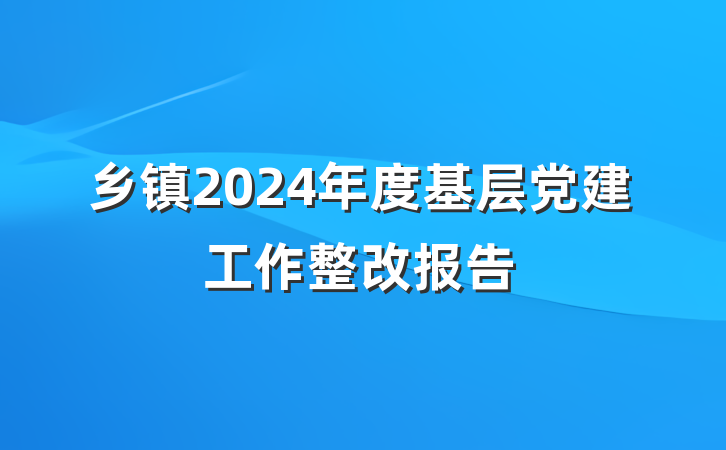 乡镇2024年度基层党建工作整改报告