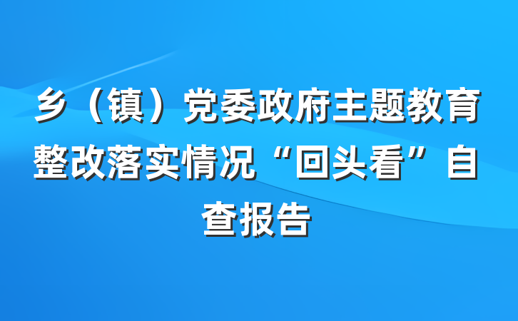 乡（镇）党委政府主题教育整改落实情况“回头看”自查报告