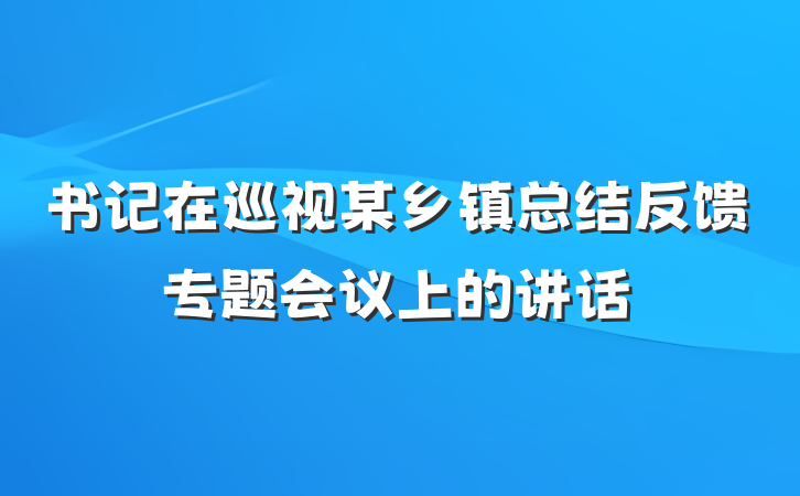书记在巡视某乡镇总结反馈专题会议上的讲话