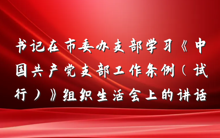 书记在市委办支部学习《中国共产党支部工作条例（试行）》组织生活会上的讲话