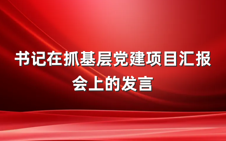 书记在抓基层党建项目汇报会上的发言