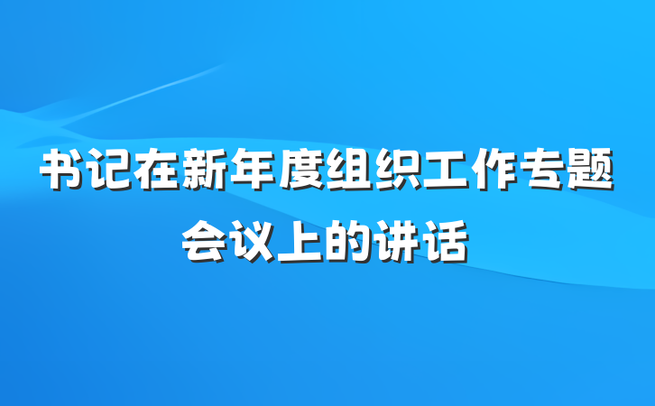 书记在新年度组织工作专题会议上的讲话