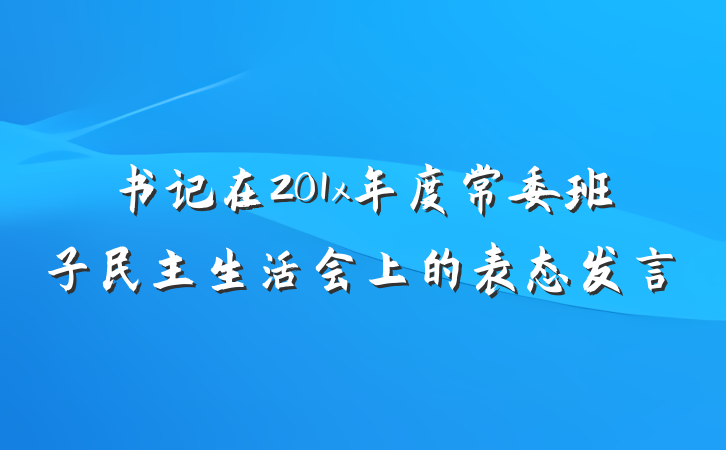 书记在201x年度常委班子民主生活会上的表态发言