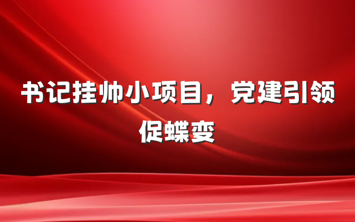 书记挂帅小项目，党建引领促蝶变