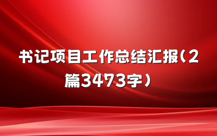 书记项目工作总结汇报（2篇3473字）