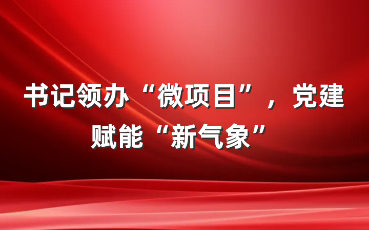 书记领办“微项目”，党建赋能“新气象”