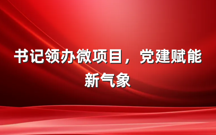 书记领办微项目，党建赋能新气象