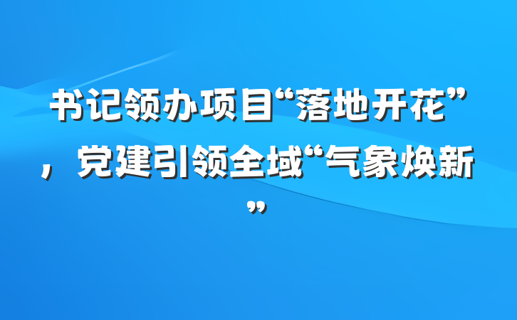 书记领办项目“落地开花”，党建引领全域“气象焕新”
