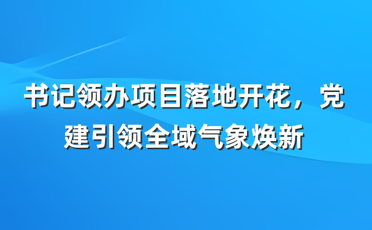 书记领办项目落地开花，党建引领全域气象焕新