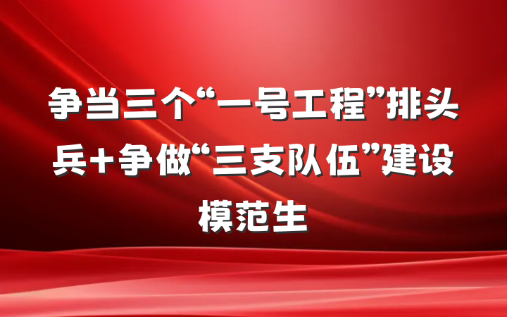 争当三个“一号工程”排头兵 争做“三支队伍”建设模范生