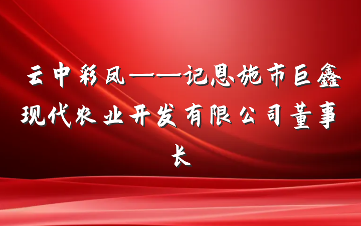 云中彩凤——记恩施市巨鑫现代农业开发有限公司董事长
