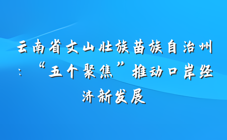 云南省文山壮族苗族自治州：“五个聚焦”推动口岸经济新发展