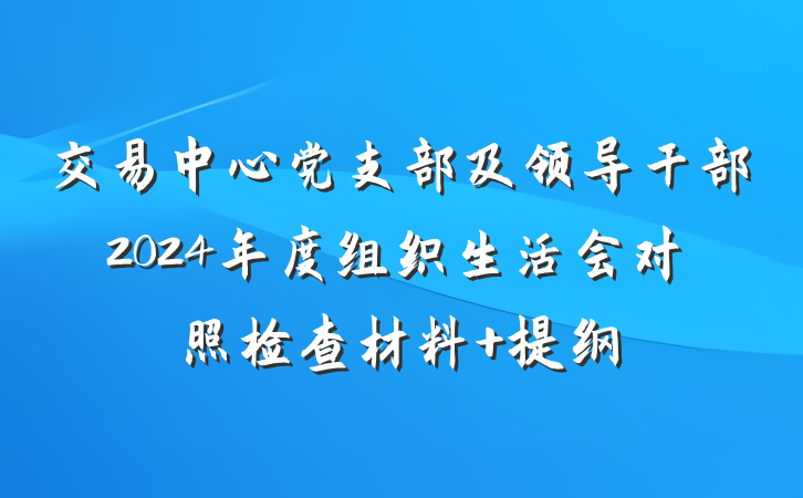 交易中心党支部及领导干部2024年度组织生活会对照检查材料 提纲