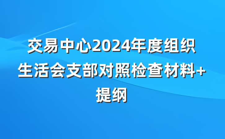 交易中心2024年度组织生活会支部对照检查材料 提纲