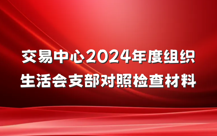 交易中心2024年度组织生活会支部对照检查材料