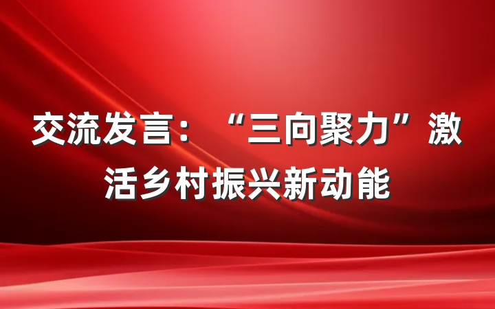 交流发言：“三向聚力”激活乡村振兴新动能