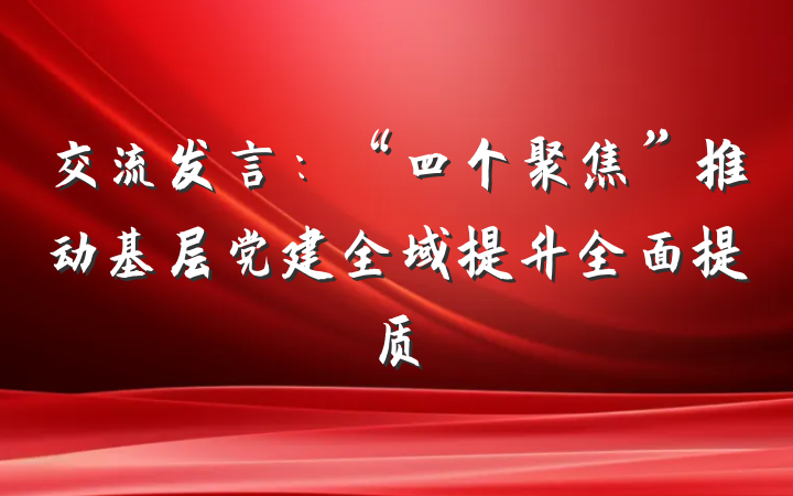 交流发言：“四个聚焦”推动基层党建全域提升全面提质