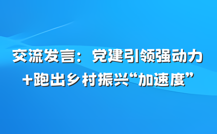 交流发言：党建引领强动力 跑出乡村振兴“加速度”
