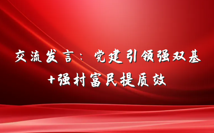 交流发言：党建引领强双基 强村富民提质效