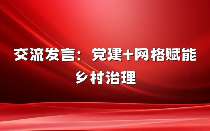 交流发言：党建＋网格赋能乡村治理