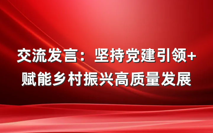 交流发言：坚持党建引领 赋能乡村振兴高质量发展