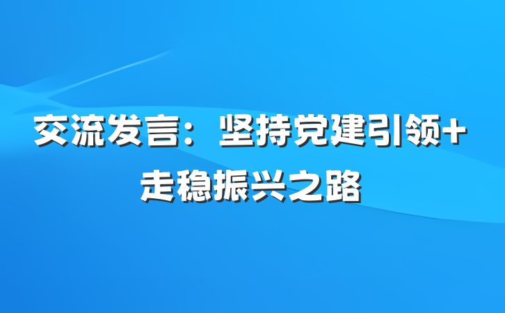 交流发言：坚持党建引领 走稳振兴之路