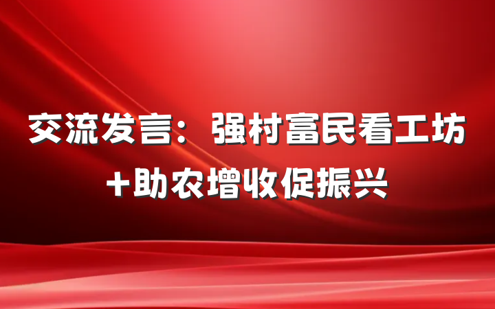 交流发言：强村富民看工坊 助农增收促振兴