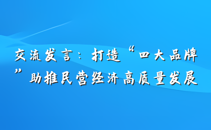 交流发言：打造“四大品牌”助推民营经济高质量发展