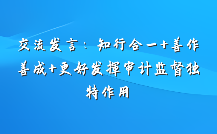 交流发言：知行合一 善作善成 更好发挥审计监督独特作用
