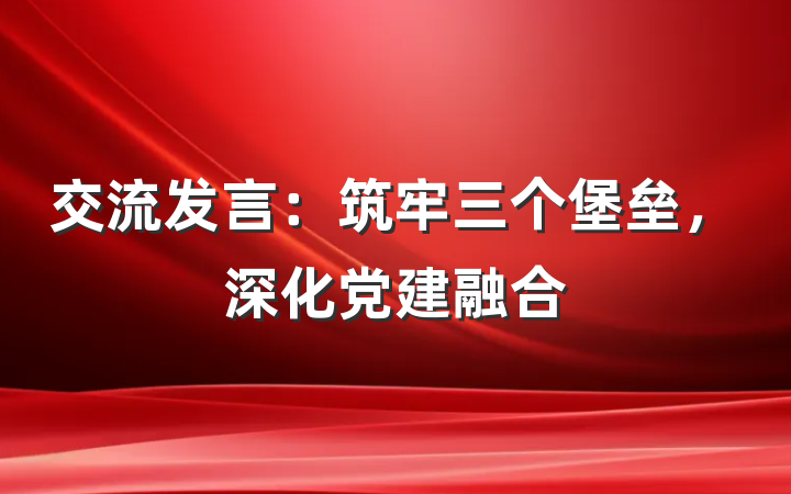 交流发言：筑牢三个堡垒，深化党建融合