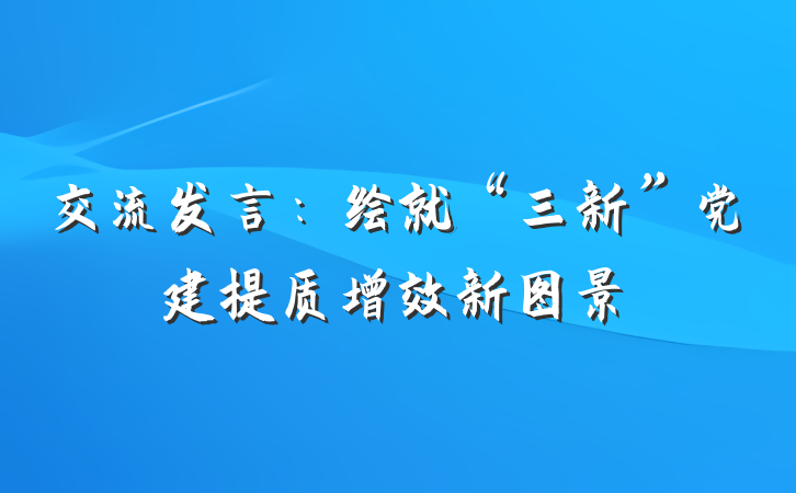 交流发言：绘就“三新”党建提质增效新图景