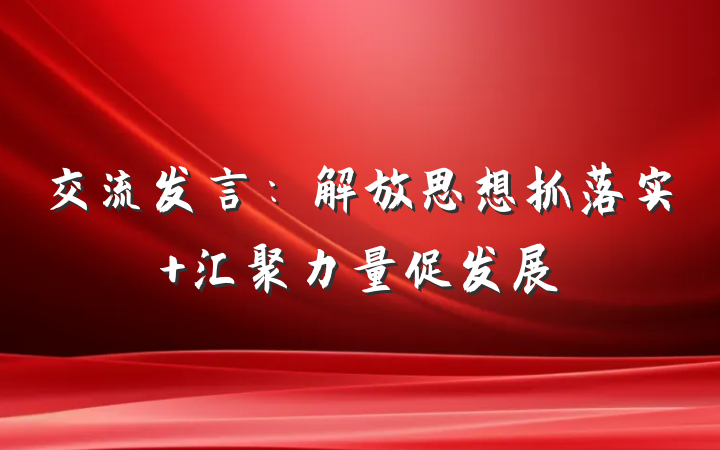 交流发言：解放思想抓落实 汇聚力量促发展