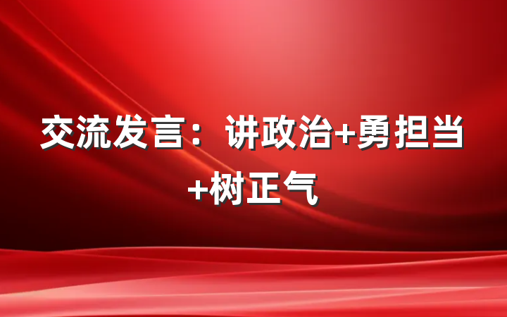 交流发言：讲政治 勇担当 树正气