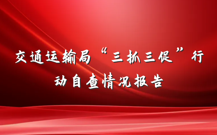 交通运输局“三抓三促”行动自查情况报告