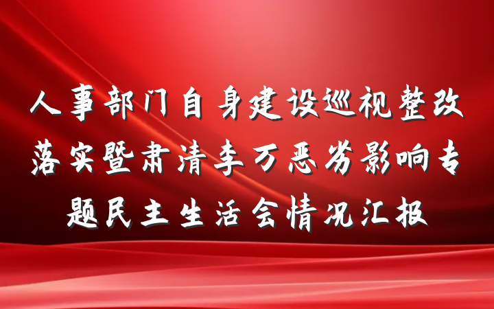 人事部门自身建设巡视整改落实暨肃清李万恶劣影响专题民主生活会情况汇报