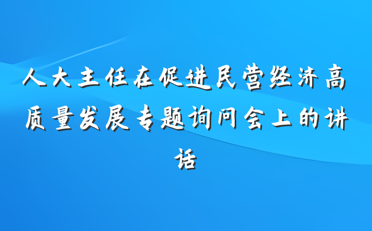 人大主任在促进民营经济高质量发展专题询问会上的讲话