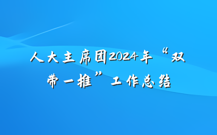 人大主席团2024年“双带一推”工作总结